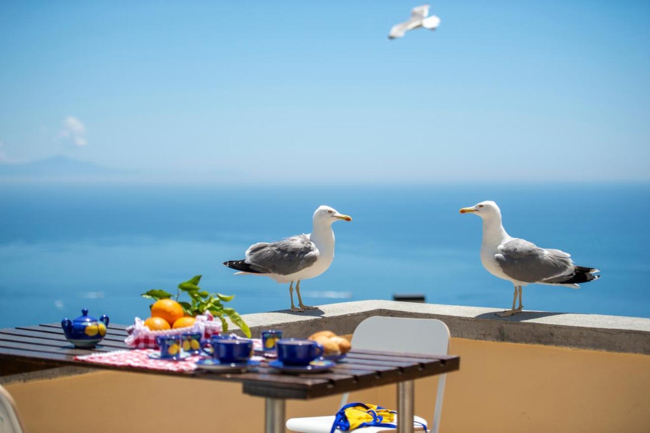 Casa Licia Lejlighed Positano Eksteriør billede